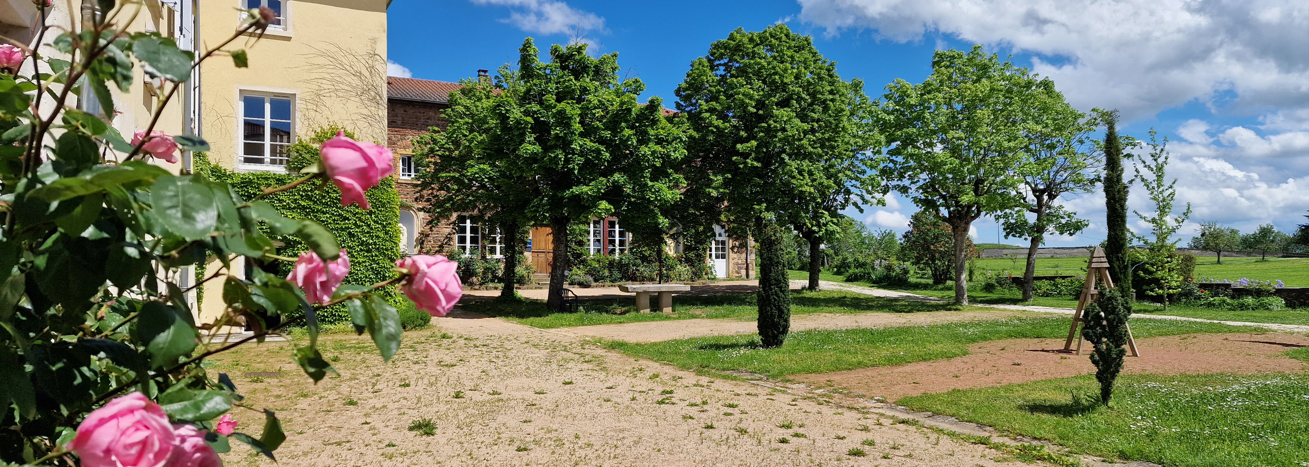header-home-scaled-2